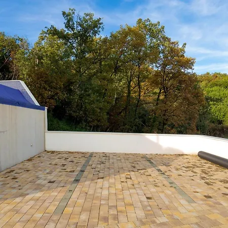 Palmas أوباتيا